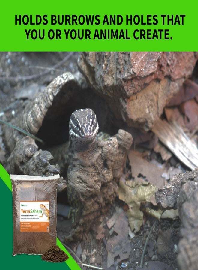 BIODUDE The Bio Dude Terra Sahara Bioactive Reptile Substrate 6 quarts for terrariums and vivariums. Great Bedding for Bearded Dragons, Uromasatyx, Leopard Geckos, Sand Boas and Desert Plants - Image 3
